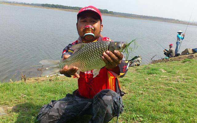 Racikan Umpan Ikan Tawes di Sungai Deras