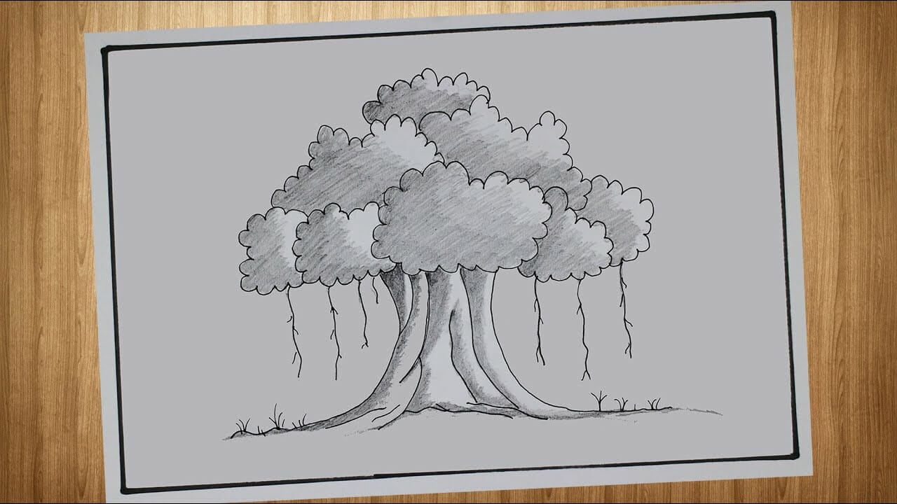Sketsa Pohon Beringin Hitam Putih