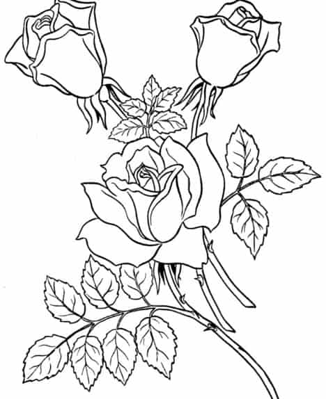 Gambar Sketsa Bunga Lengkap