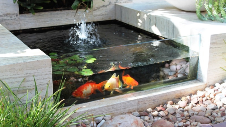 Kolam Ikan Depan Rumah dengan Kaca Minimalis