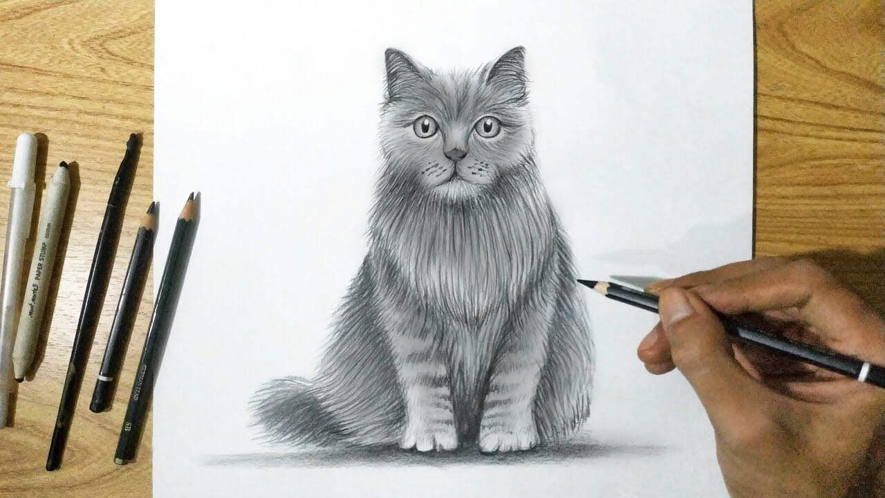 Sketsa Kucing Unik