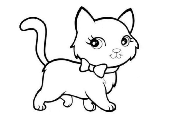Sketsa Gambar Kucing Betina