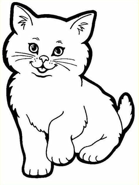 Sketsa Gambar Kucing Mudah