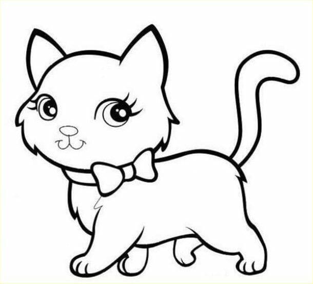 Sketsa Gambar Kucing Berdasi Kupu-Kupu