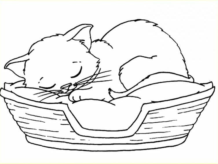Sketsa Gambar Kucing Tidur