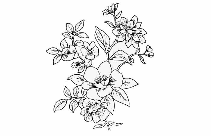 Sketsa Gambar Flora Bunga Dahlia